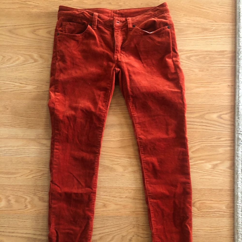 Patagonia burnt orange corduroy pants